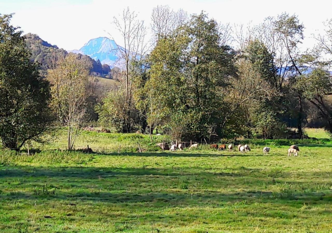 Domaine Lou Castet Tuzaguet Exterior foto