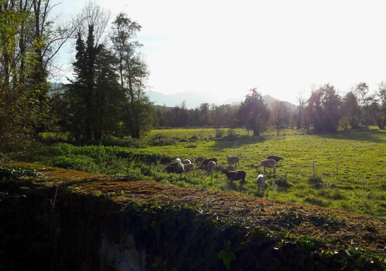 Domaine Lou Castet Tuzaguet Exterior foto